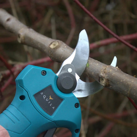 Tuin Gereedschap en Dierenbescherming