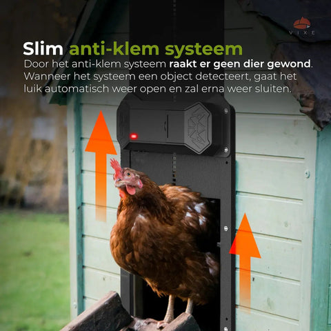 Automatisch kippenluik