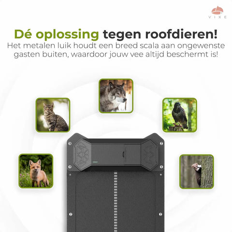 Automatisch kippenluik