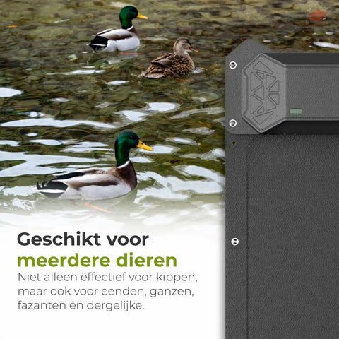 Automatisch kippenluik